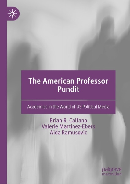 Cover of The American Professor Pundit