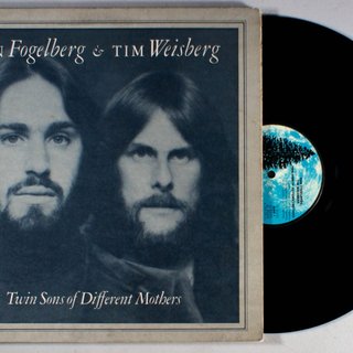 Cover of Twin Sons of Different Mothers